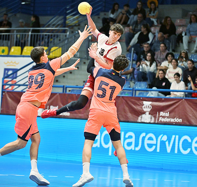 Real Federación Española de Balonmano (RFEBM)