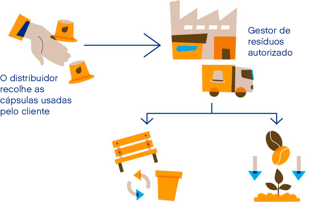 Compañeros ventajas oficina