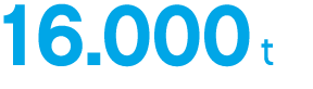 16.000 t