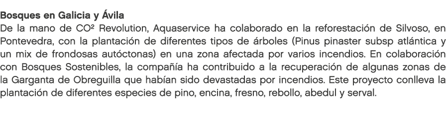 Bosques en Galicia y vila De la mano de CO² Revolution, Aquaservice ha colaborado en la reforestaci n de Silvoso, en...