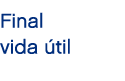 Final vida til