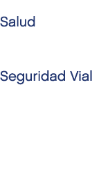 Salud Seguridad Vial 
