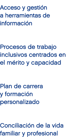 Acceso y gesti n a herramientas de informaci n Procesos de trabajo inclusivos centrados en el m rito y capacidad Plan...