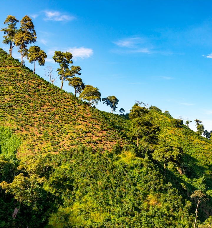 Protegiendo el Medio Ambiente