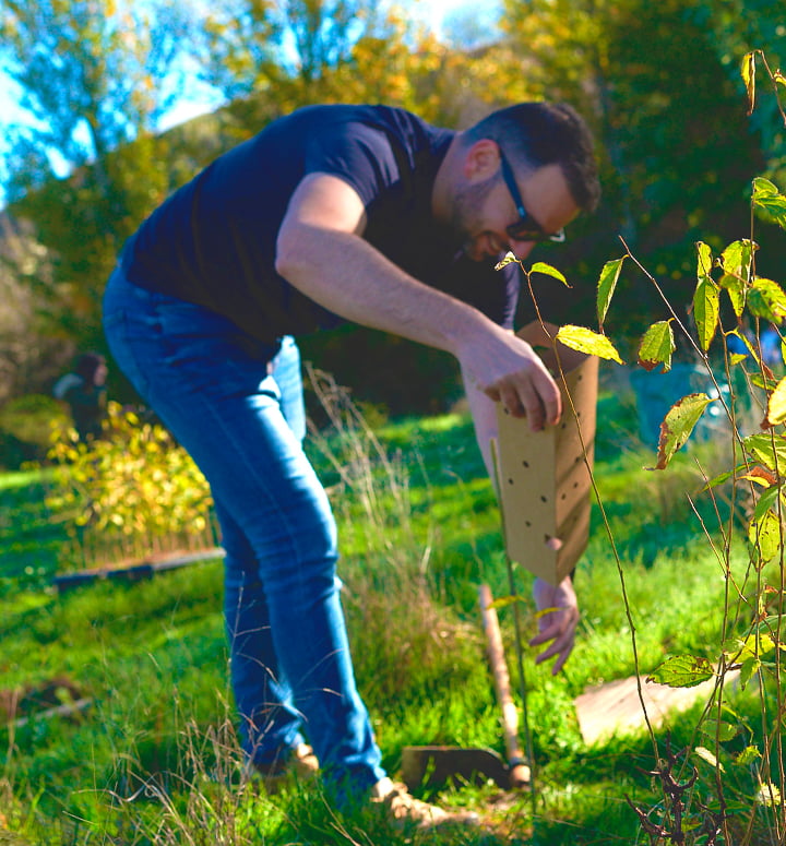 Revivir los Bosques